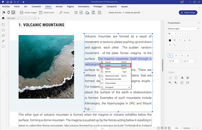 C Mo Copiar El Texto De Archivos Pdf