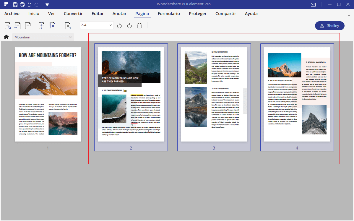 duplicate pages