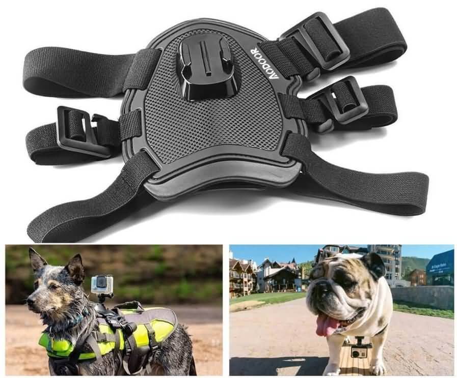 Aodoor Chest and Back Mount Pet Harness