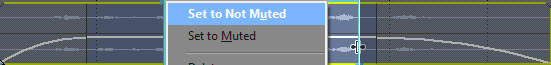 Mute audio to selected part